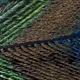 Illustration for article titled Amazing Photographs Capture the Microscopic Iridescence of Peacock Feathers